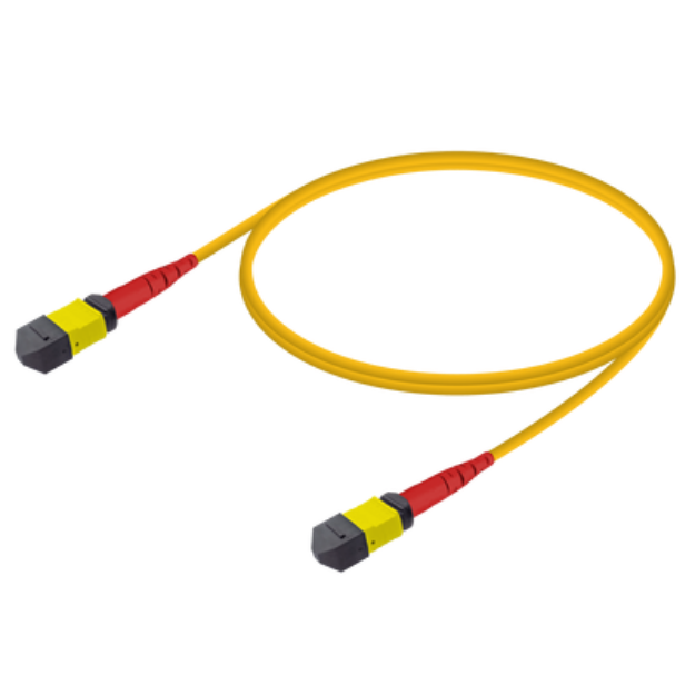 MPO Patchcord Male-Male Base-24 SM